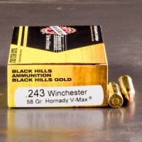 Black Hills Gold V-Max Polymer Tip Ammo