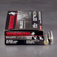 Winchester Ballistic Silvertip Polymer Tip Ammo