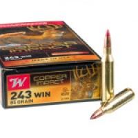 Ammo Winchester Copper Impact Extreme Point Ammo