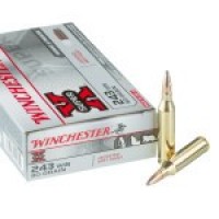 Ammo Winchester SP Ammo