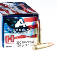 Bulk Hornady HP Ammo