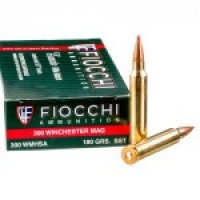 Ammo Fiocchi SST Ammo