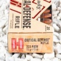 Hornady FTX Ammo