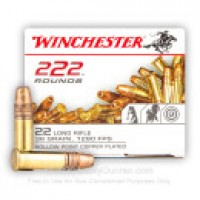 CP Winchester HP Ammo