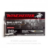 Polymer Tip Ballistic Silvertip Ammo