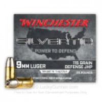 Winchester Silvertip JHP Ammo