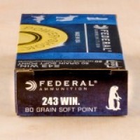 SP Federal Power-Shok Ammo